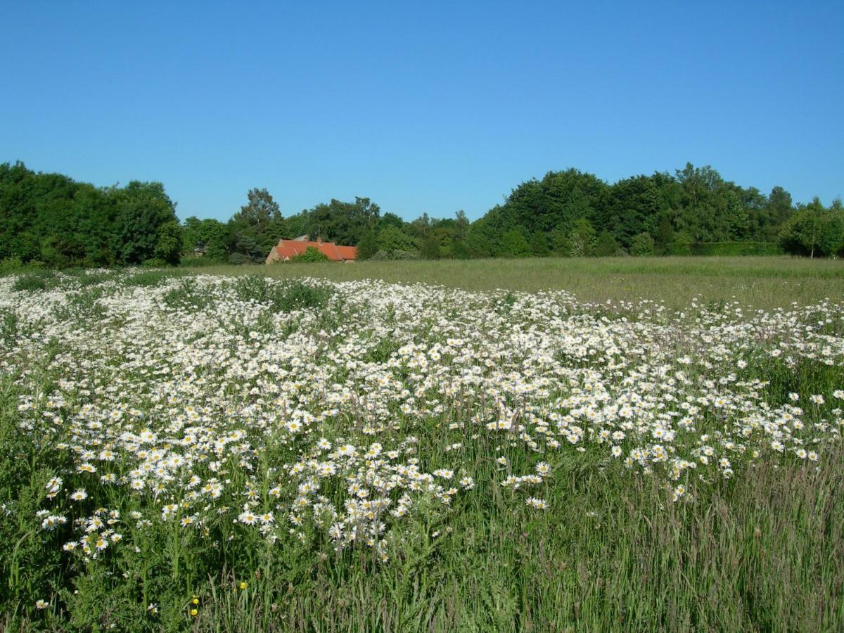 Swerford Heath Farm Holiday Cottages מראה חיצוני תמונה