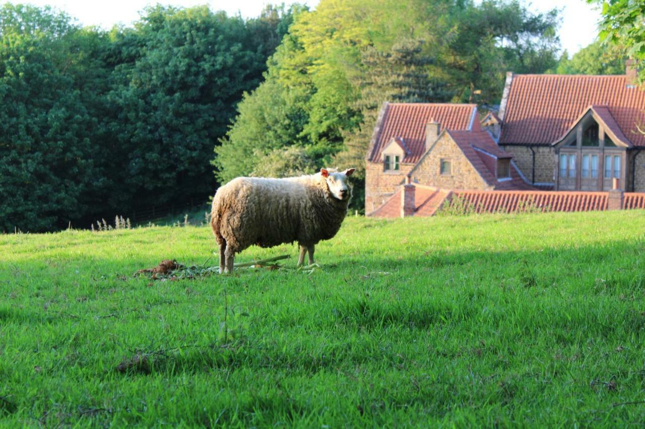 Swerford Heath Farm Holiday Cottages מראה חיצוני תמונה